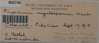 Image Associated With the Occurence